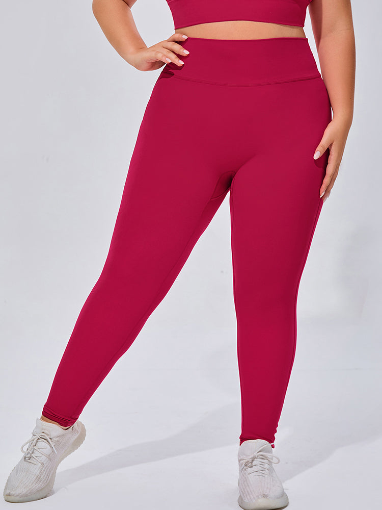 Seamless High Elastic Breathable Sports Bra and Leggings Two-Piece Fitness Set